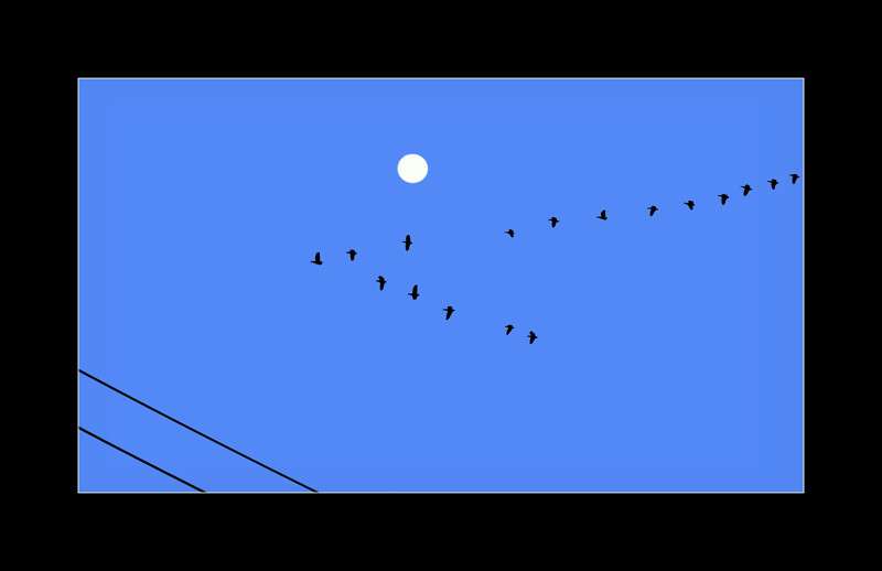 Home Bound Canada Geese- 00