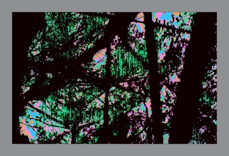 Melting Icicles- 02