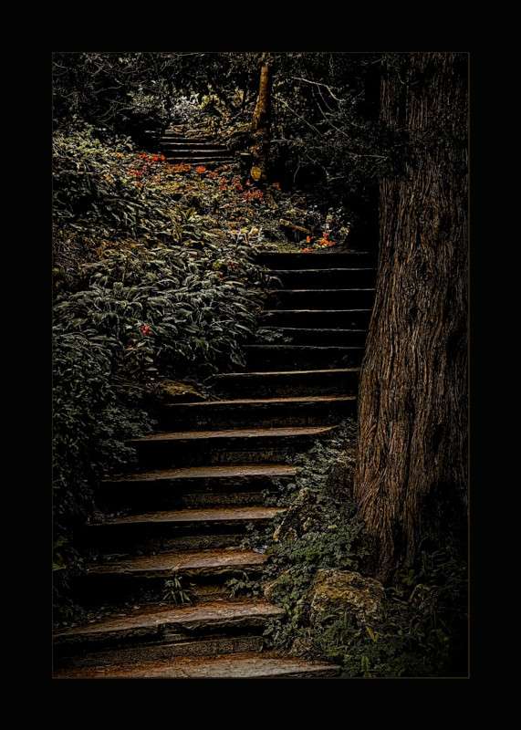Steps at Edwards Gardens- 00