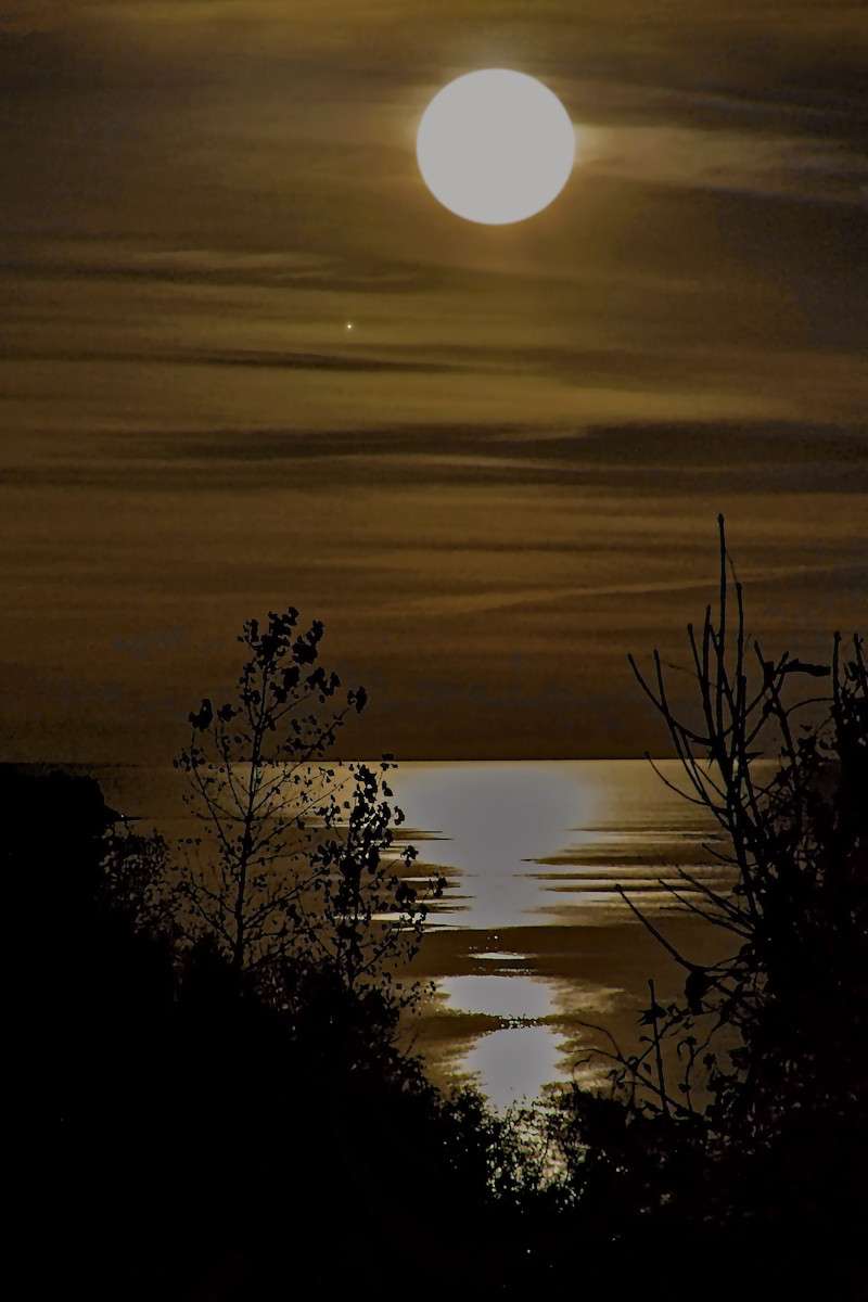 Moon by the Lake- 03