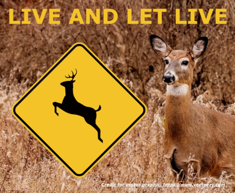 deer-crossing-sign with deer 10×12 -2 Optimized