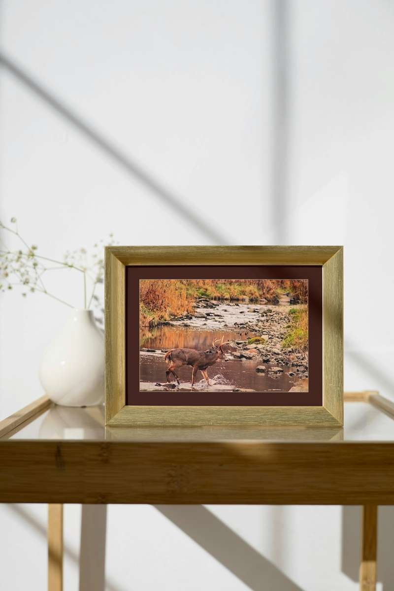 10x14 mockup - Medium size framing example