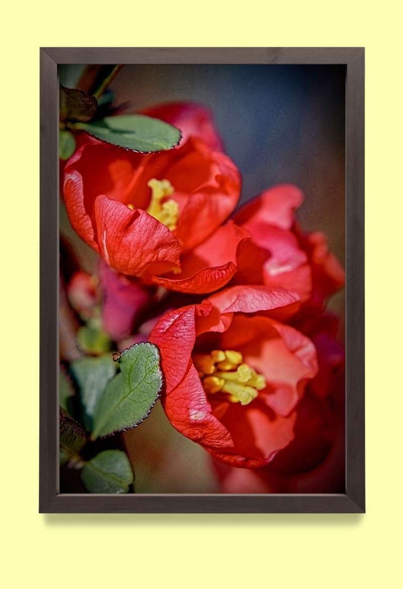 4x6 mockup - Small size framing example