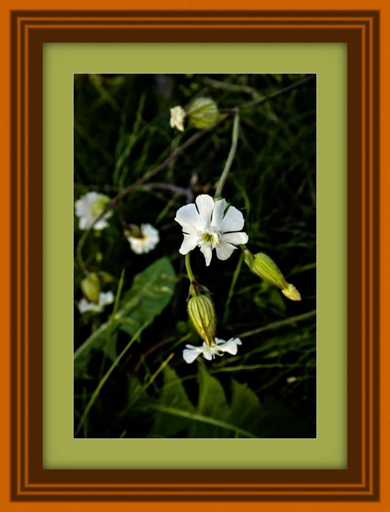 5x7 mockup - Small size framing example