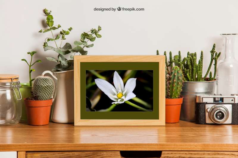 11x14 mockup - Medium size framing example