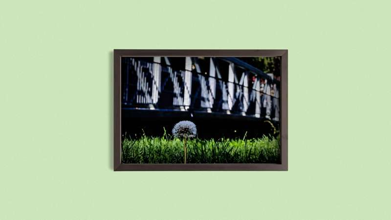 8x12 mockup - Medium size framing example