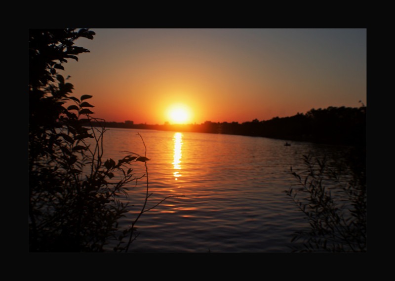 Golden sunset - 00