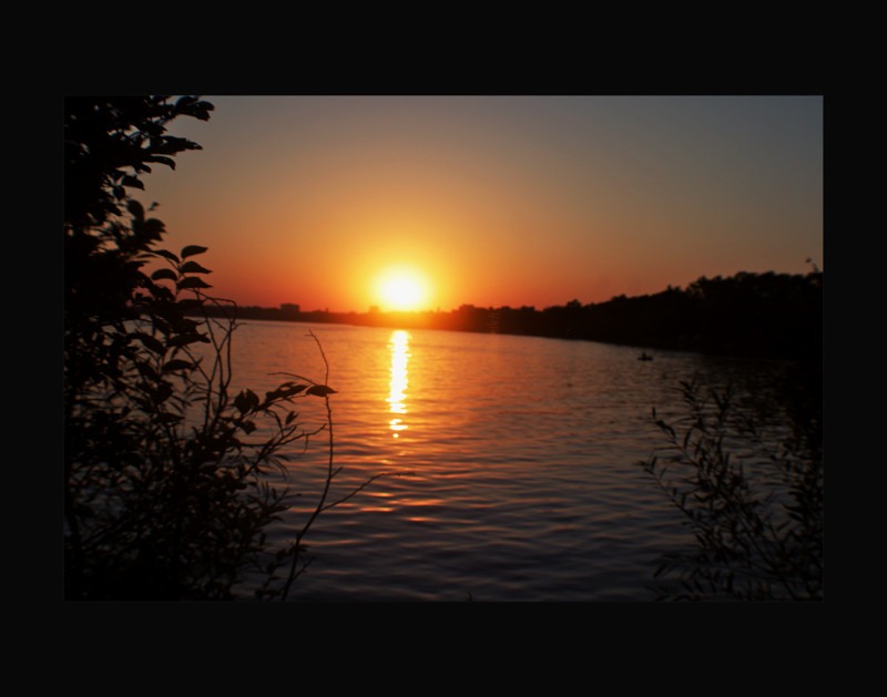 Golden sunset - 01