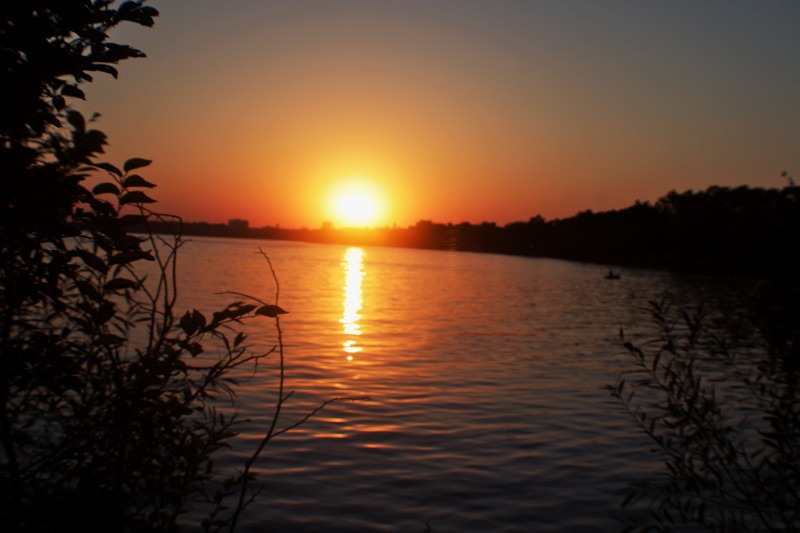 Golden sunset - 03