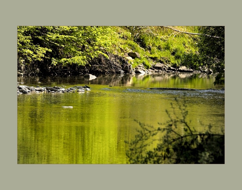 By the Creek in Morningside Park- 01