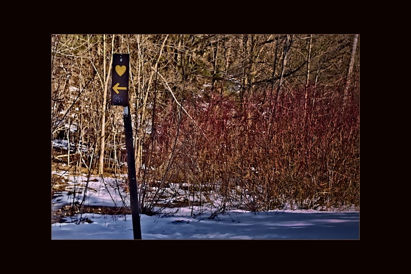 Instinctive Choice of an Arrow framed Instinctive Choice of an Arrow framed