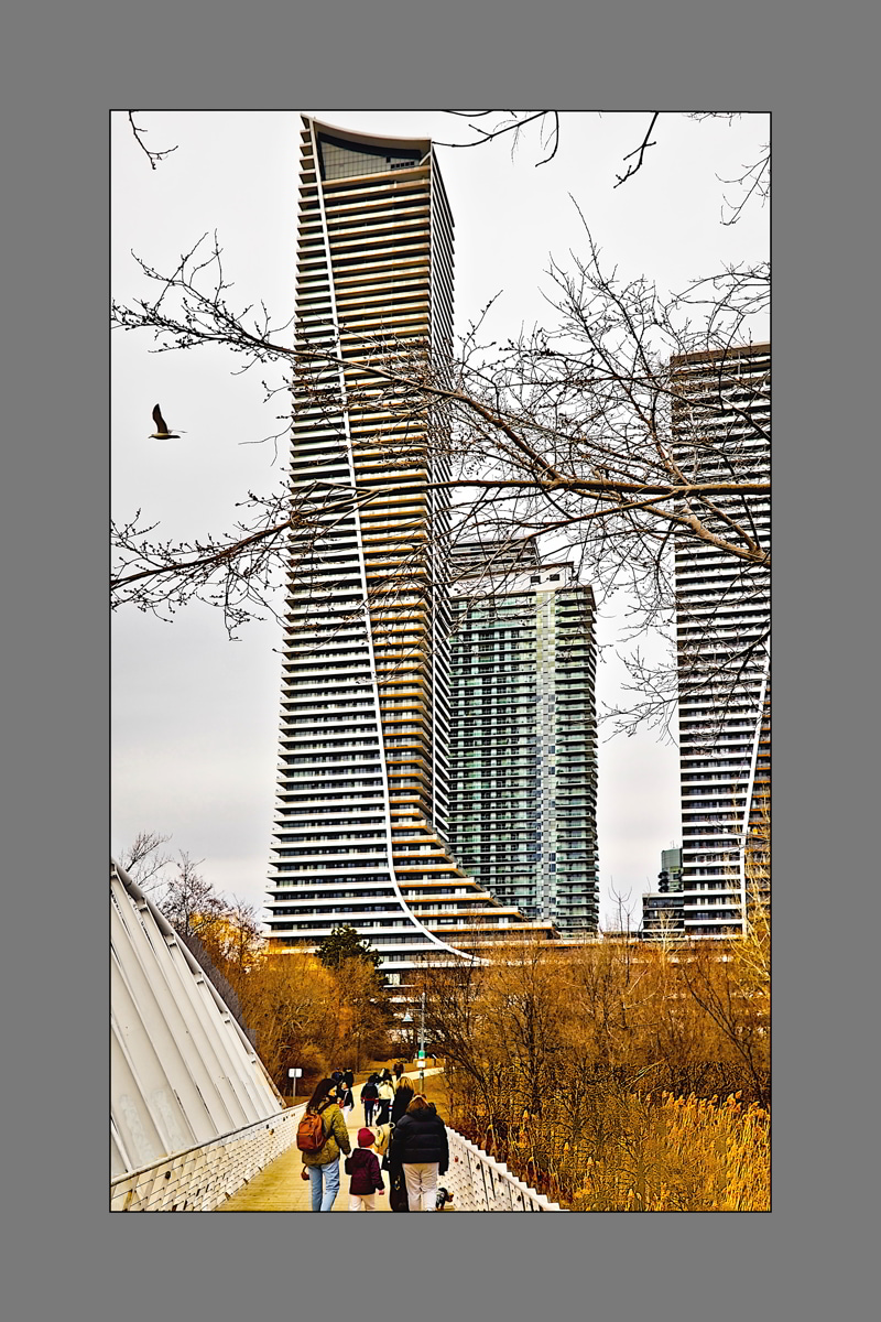 Where Nature Meets Architecture- 00.jpg