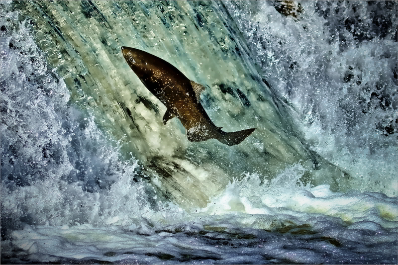 He is not leaping for himself. He has no future to leap toward. 